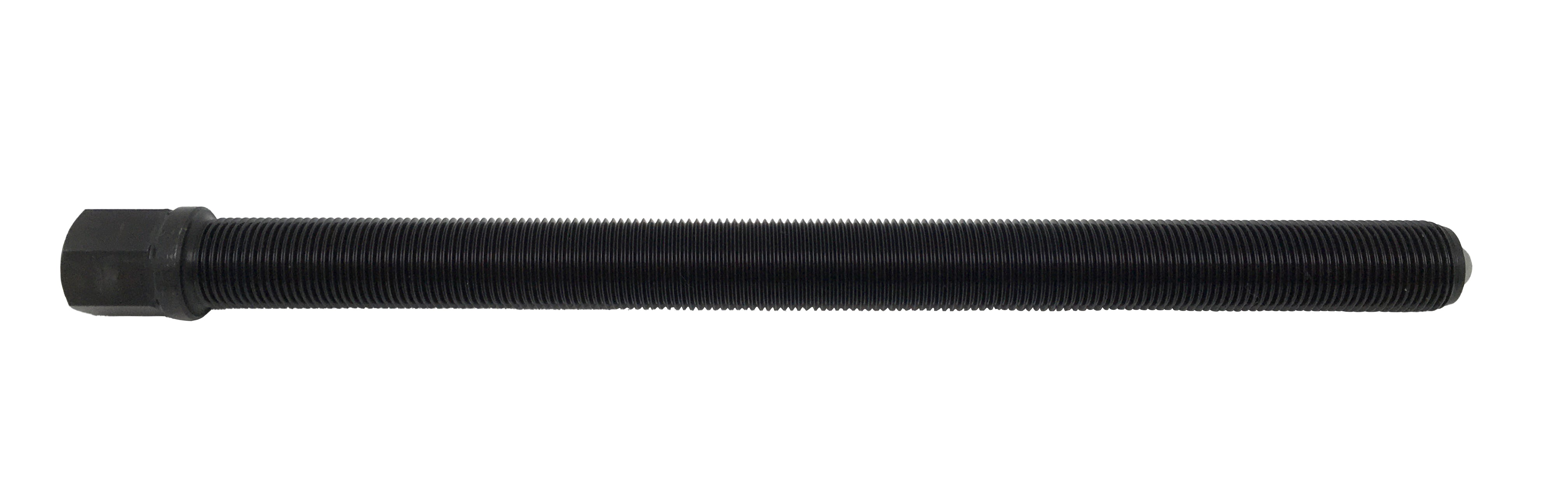 HUSILLO PARA 2791